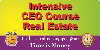 CEO Intensive Courses